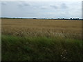 Farmland south of Fishtoft Drove in PE22 7ES