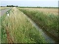 Drain beside Fishtoft Drove in PE22 7ES