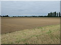 Farmland off Rawsons Lane in PE21 9LX