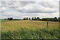 Reedy drain and tidy paddocks on Fen Bank in PE22 8PG