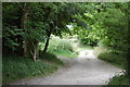 Footpath junction on the South Downs Way in GU28 0NN