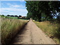 Kittles Lane looking towards Tops Farm in NR10 5QD