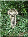County boundary marker near Woodcut Copse in RG20 0BT