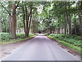 Road through Gilham's Heath Plantation in NR9 5AH