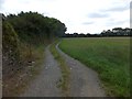 Farm track alongside field near Higher Wottons Farm in PL20 7EE