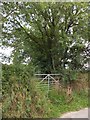 A little-used gateway for a footpath to Battens Farm in PL20 7EE