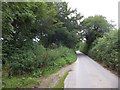 A sunken lane near Woolacombe Cross in PL20 7EE