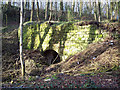 Disused quarry workings at Warminster Plantation, East Knoyle in SP3 6BG