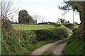 Country Lane to Lower Trethake in PL14 5JX