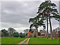Scampston Deer Park in YO17 8HY