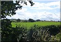 Pasture near Garrett Lee in NE65 8RJ