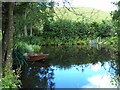 Garden pond at Courthill Mill in PH10 7JB