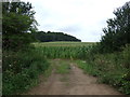 Farmland, Underhill Farm in Stanford on Soar