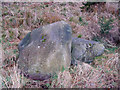Glacial erratic in Drungie Wood in KY13 0LD