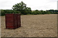Small wooden enclosure in wheat field in Bedfordshire