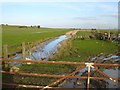 Drain and sheepfold in Sheppey East Ward