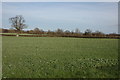Farmland to the west of Cholstrey in HR6 9QY