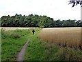 Footpath between the crops in L38 6JE