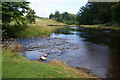 Confluence of Ardoch Burn and the River Teith in FK16 6EA