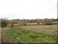 View north-west across a boggy river valley in LL56 4UQ