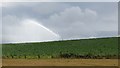 Irrigation, Hill of Boath in Arbroath West, Letham and Friockheim Ward