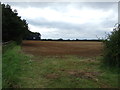 Field off Woolsthorpe Lane in NG32 1PS