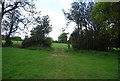 Footpath through hedge in TN15 7LT