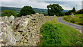 Drystone wall by the lane to Hullockhowe in CA10 2QJ