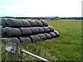 Wrapped bales sitting in the field in AB12 5YX