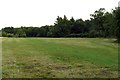 Grassland on North Leigh Common in OX29 8AX