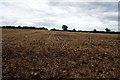 A barren field near Longford in Hollington