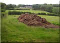 Muck heap by Haddon Lane in TA4 2DR