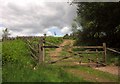 Gate by Hadborough Plantation in TA4 2DT