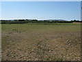 View south across farm land on Down Level in BN27 2SQ