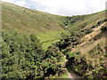 Valley between Homerton Hill and Longstone Hill in EX20 4LU