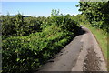 Country road to Upper Dormington in Dormington