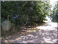 Footpath to Willow Farm in IP22 2EA