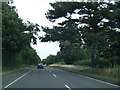 A149 northbound near Heacham in PE31 7JA