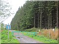 Logging road, Lennox Forest in G66 7NP