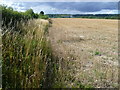 Field alongside Ladds Lane in ME6 5SQ