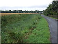 Dry drainage ditch beside Blue Gowt Drove in PE11 3PX