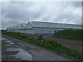 Greenhouses near Crossgate in PE11 3JP