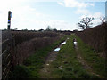 Bridleway to Hunter's Farm in DT10 1HG