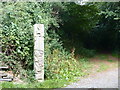Wooden sculpture at Yeo Valley Woodland in EX32 8AN