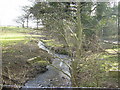 Twattleton Beck near to Angram Grange in Wildon Grange