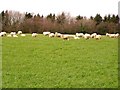 Farmland, Vale of Glamorgan in Llancarfan Community