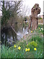 Riverside Walk, Shrewton in SP3 4EJ