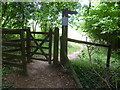 Gate in The Long Plantation in KT20 6HY
