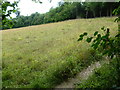 Path alongside The Long Plantation in KT20 6HY