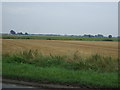 Crop field east of Boston Road in PE20 2HS